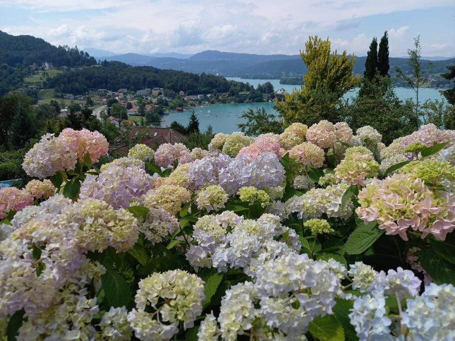 Haus Sonnenhang +Seeblick+Pool Reifnitz Luaran gambar